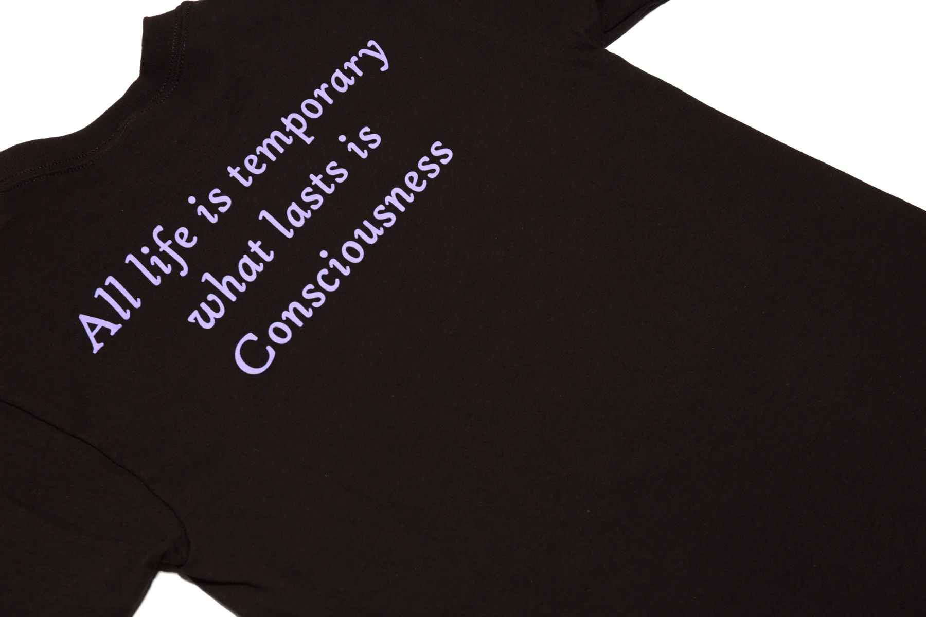 All Life Is Temporary T-Shirt (Black) - Image 3