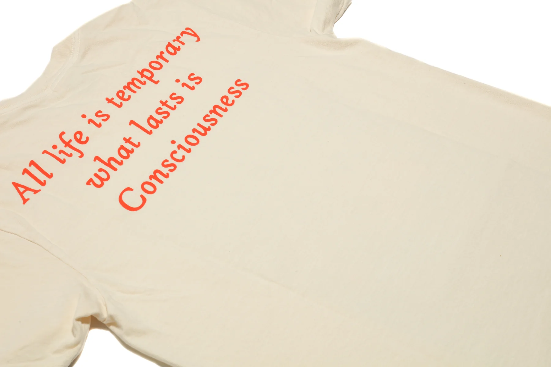 All Life Is Temporary T-Shirt (Ivory) - Image 3