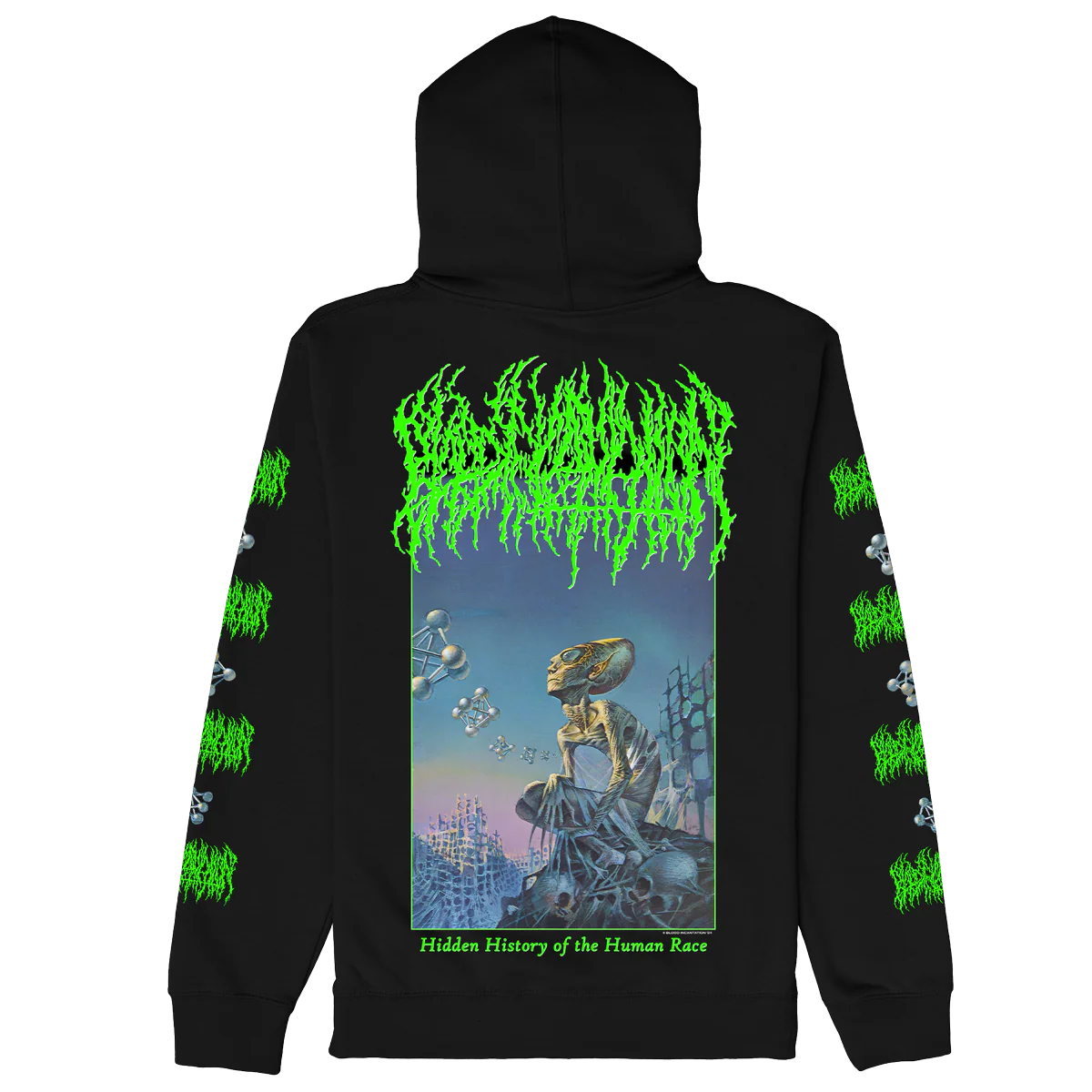 Hidden History Zip Up Hoodie (Black) - Image 6
